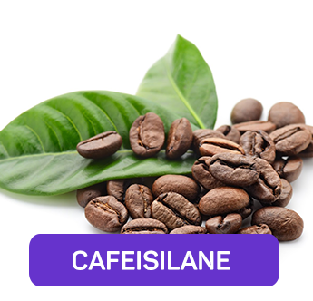 CAFEISILANE C®