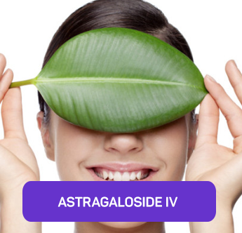 ASTRAGALOSIDE IV 