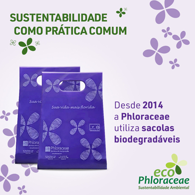 Sacolas Biodegradáveis